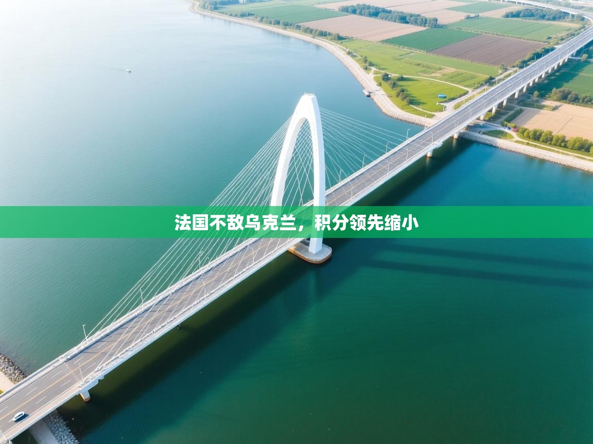 法国不敌乌克兰，积分领先缩小