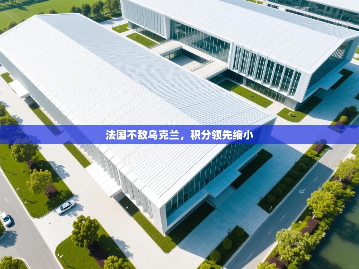 法国不敌乌克兰，积分领先缩小  第2张