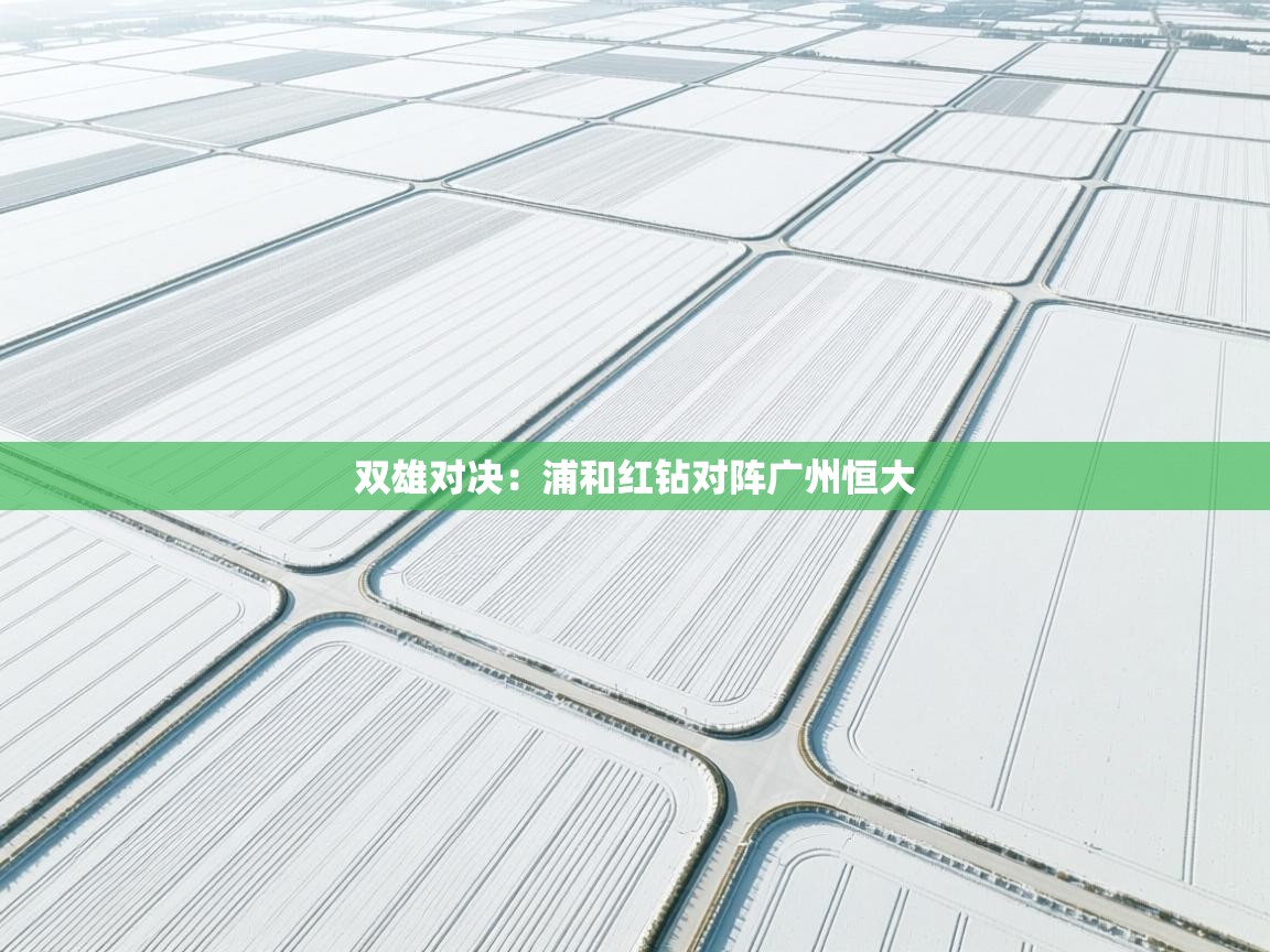 双雄对决：浦和红钻对阵广州恒大