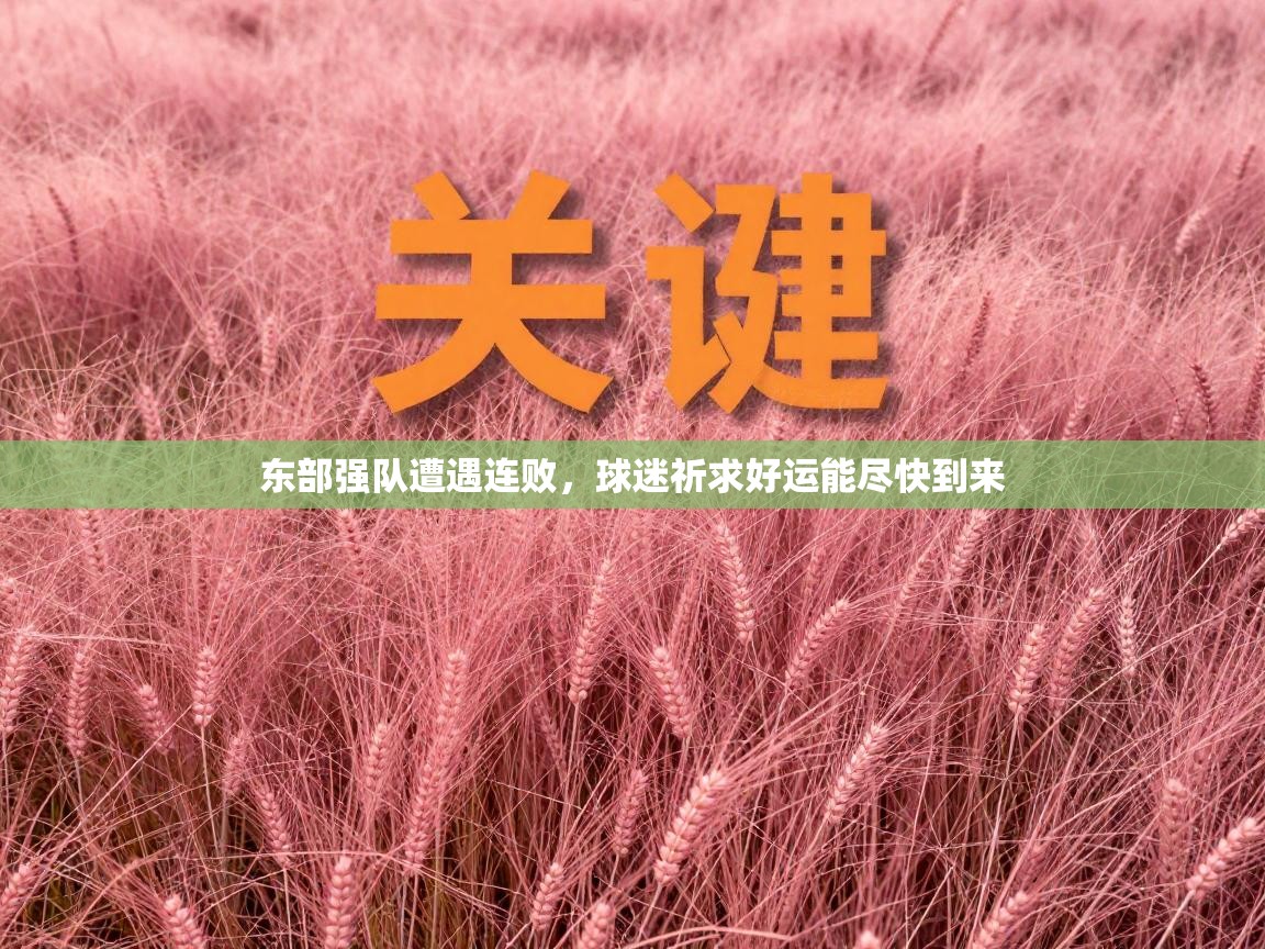 东部强队遭遇连败，球迷祈求好运能尽快到来  第2张