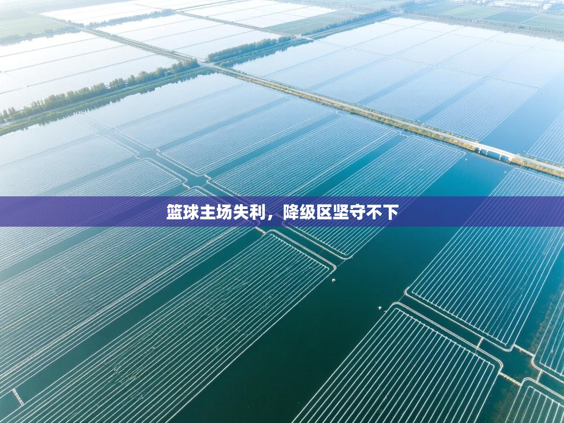 篮球主场失利，降级区坚守不下