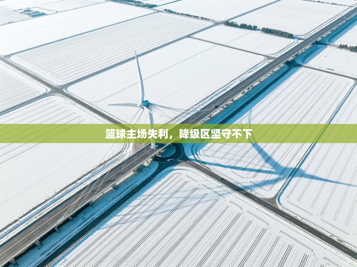 篮球主场失利，降级区坚守不下  第2张