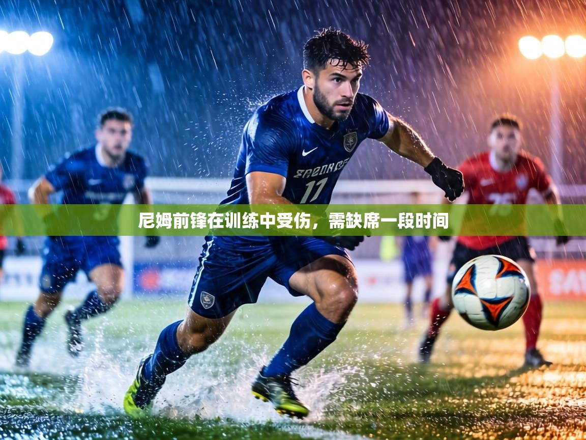 尼姆前锋在训练中受伤，需缺席一段时间  第1张